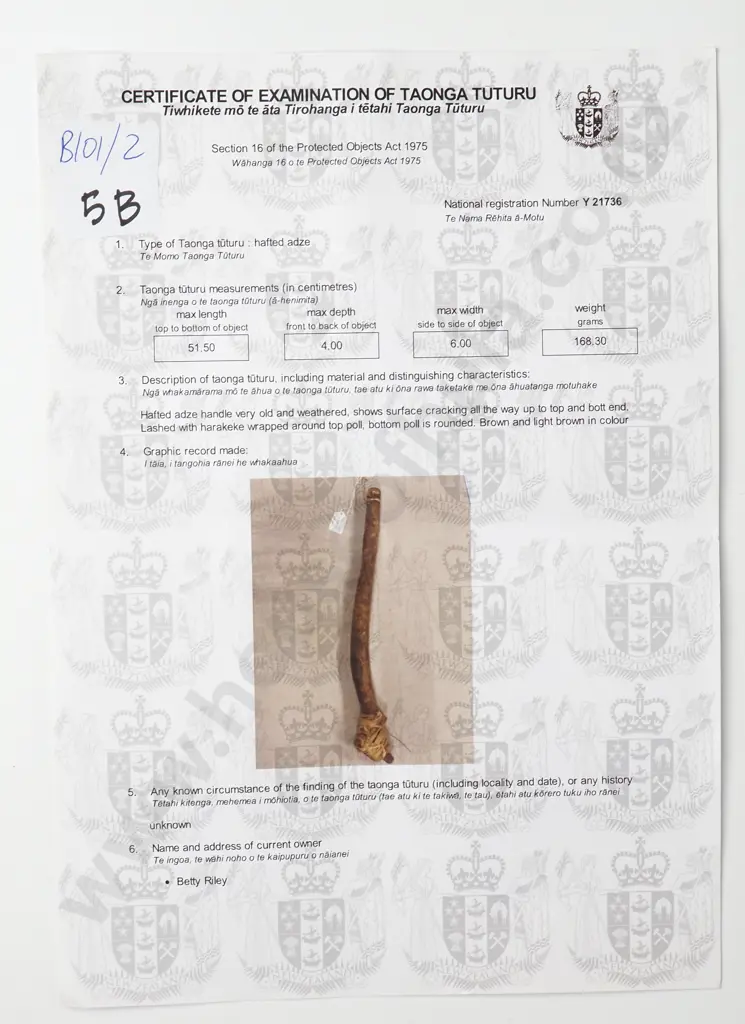 Exceptionally Scarce Pre- European Adze Handle - Y21736 Formally of the Field Collection Image 1++