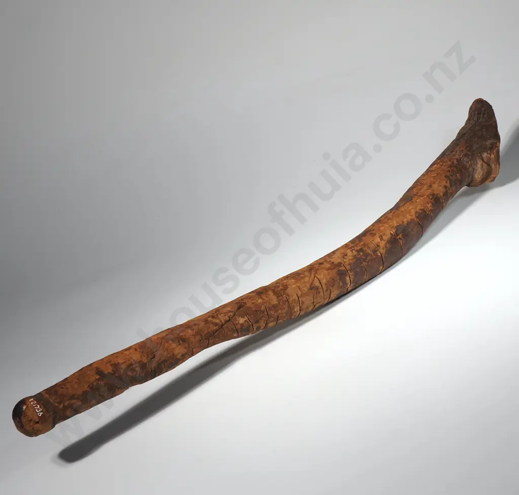 Exceptionally Scarce Pre- European Adze Handle - Y21736 Formally of the Field Collection Image 1++