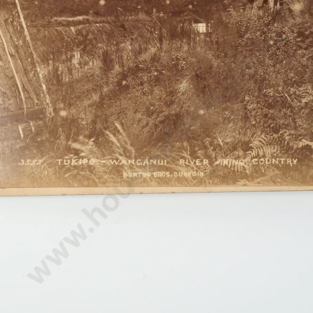 19th Century New Zealand Photograph of Māori Whare at Tukipo Wanganui River King Country - Burton Bros Dunedin  Image 1++