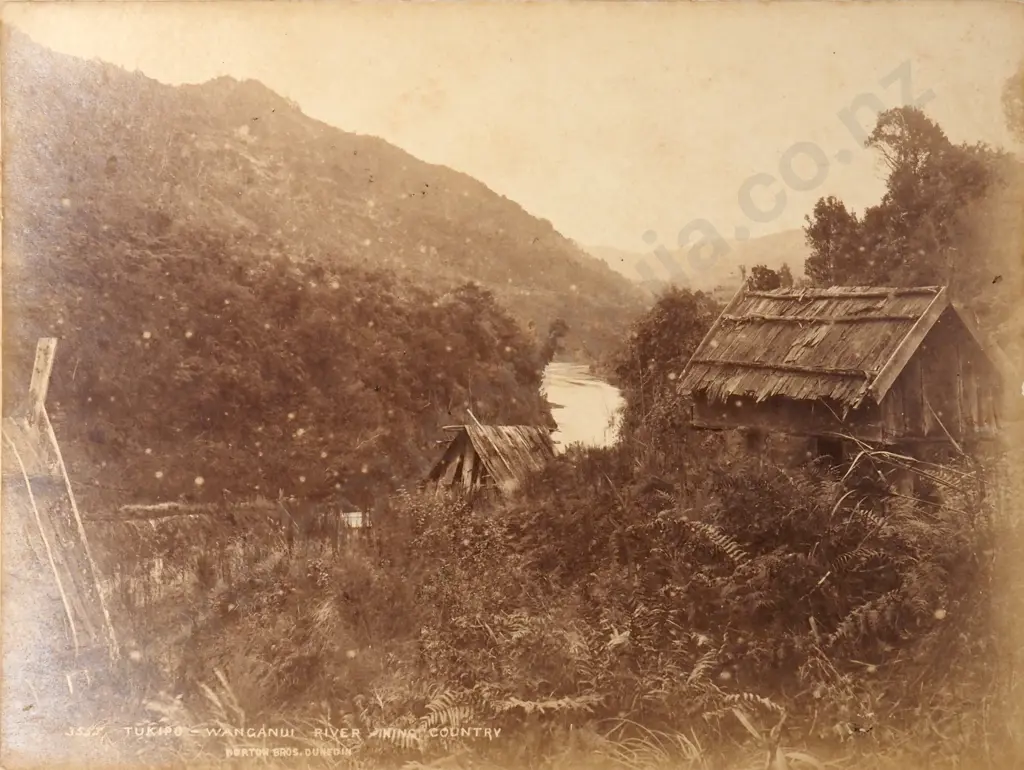 19th Century New Zealand Photograph of Māori Whare at Tukipo Wanganui River King Country - Burton Bros Dunedin  Image 1++