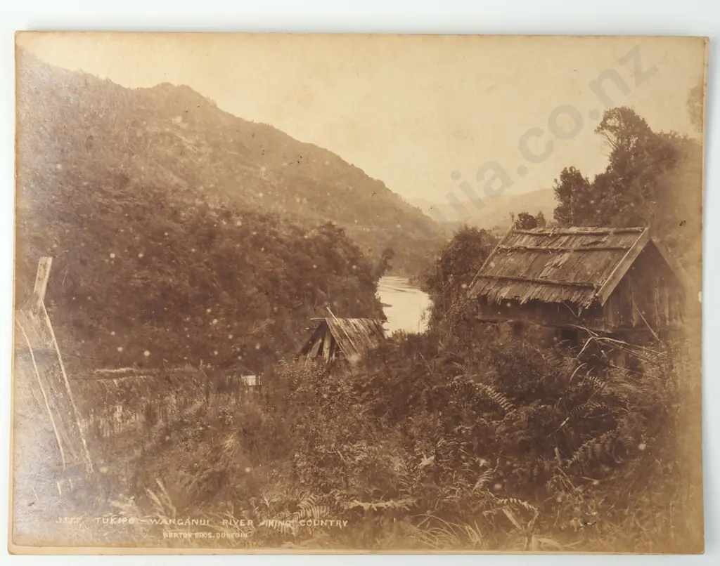 19th Century New Zealand Photograph of Māori Whare at Tukipo Wanganui River King Country - Burton Bros Dunedin  Image 1++