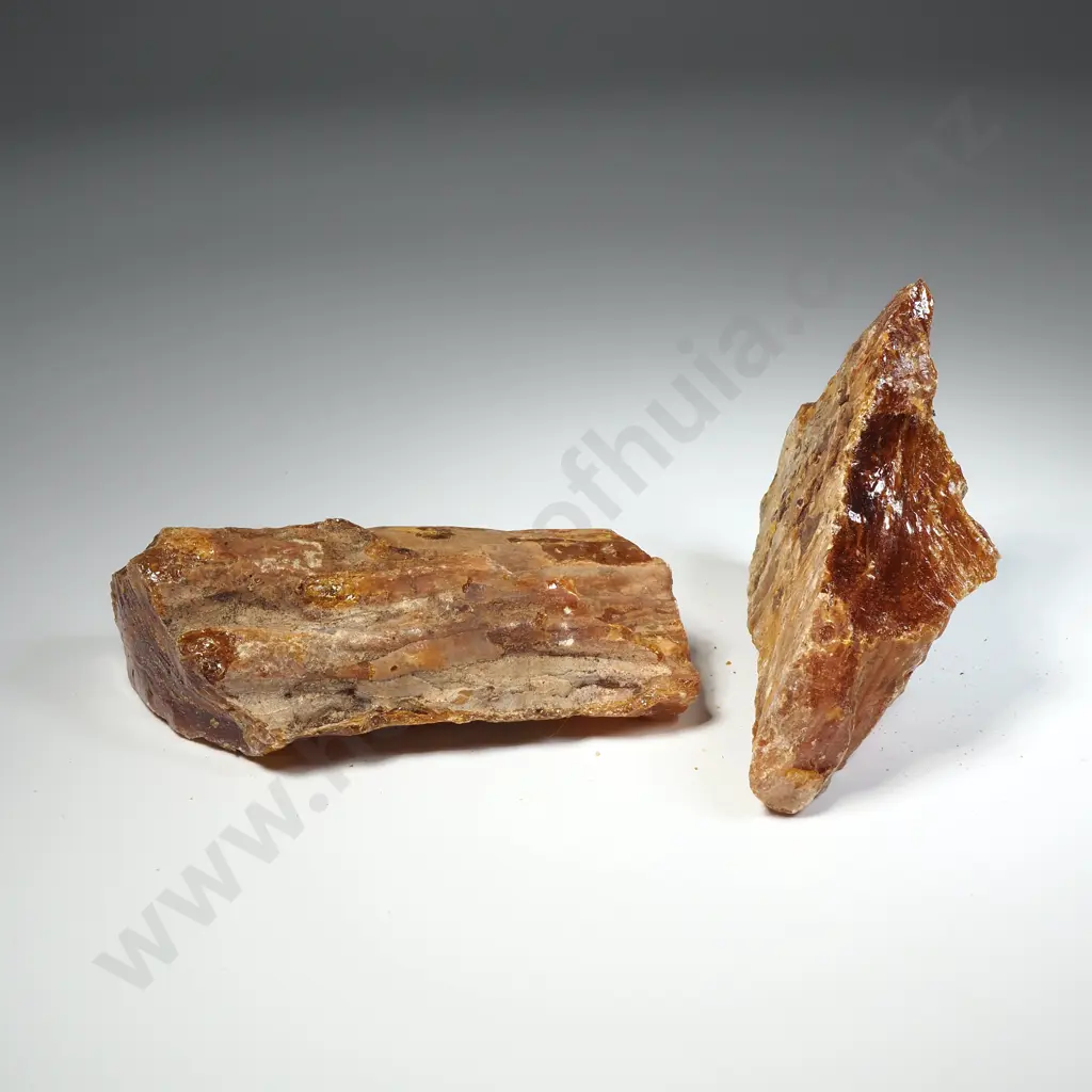 Two Piece of Raw Unpolished Kauri Gum, Weight 173.9 grams Image 1++
