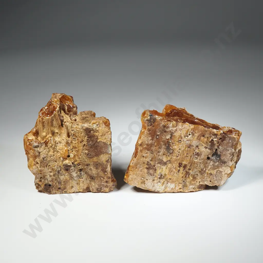 Two Pieces of Raw Unpolished Kauri Gum, Weight 241.3 grams Image 1++