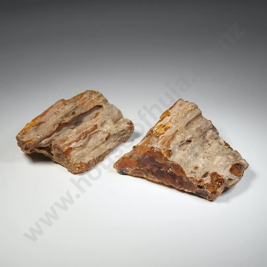 Two Pieces of Raw Unpolished Kauri Gum, Weight 241.3 grams Image 1++