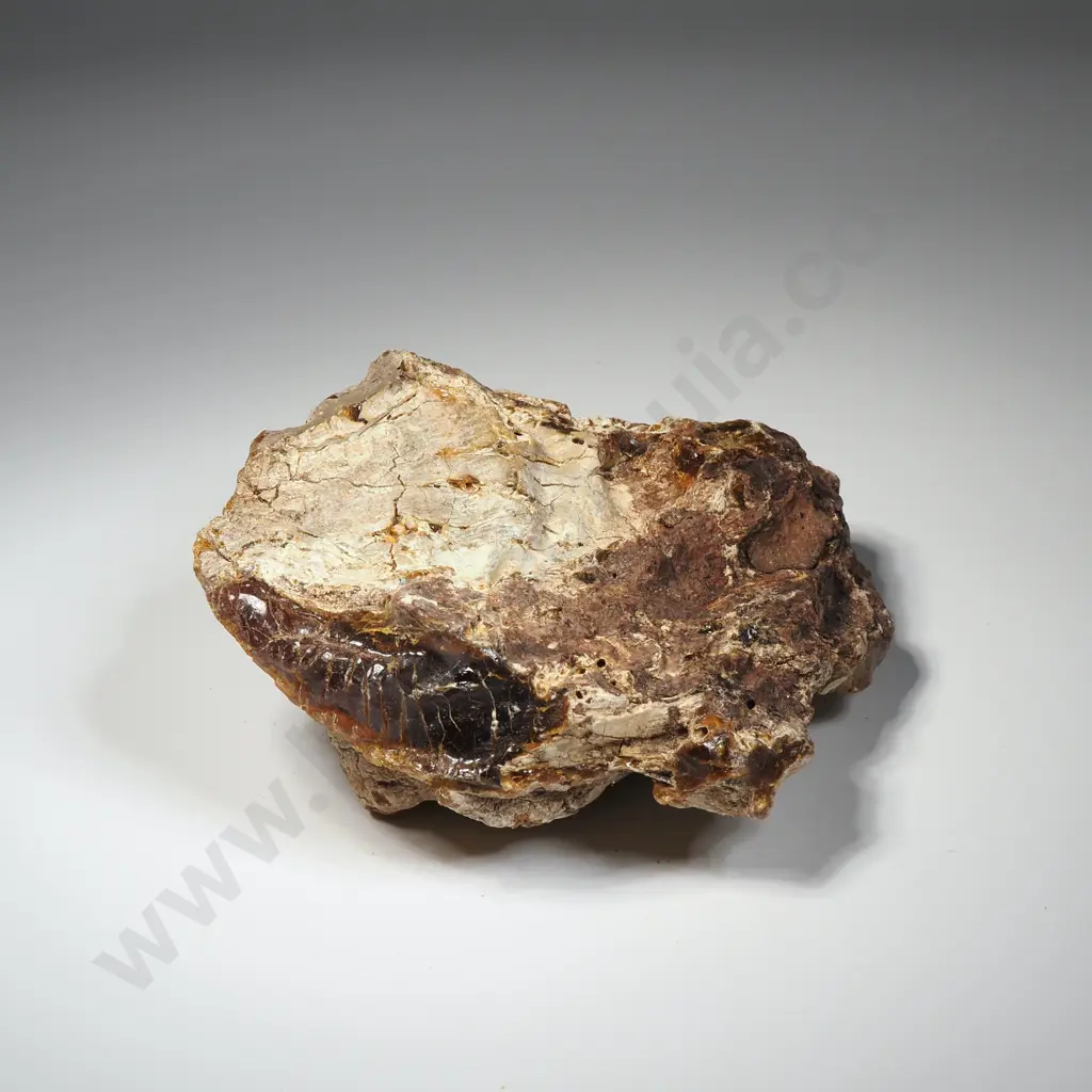 Piece of Raw Unpolished Kauri Gum, Weight 330.7 grams Image 1++