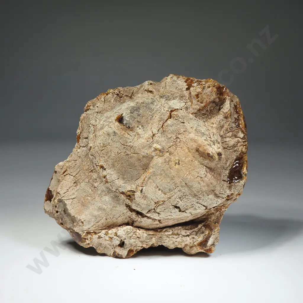 Piece of Raw Unpolished Kauri Gum, Weight 330.7 grams Image 1++