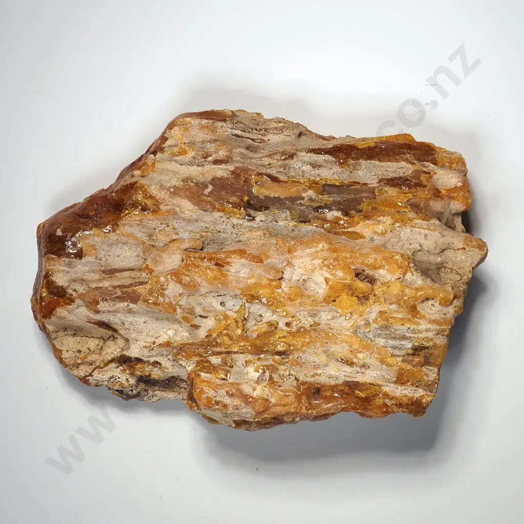 Piece of Raw Unpolished  Kauri Gum, Weight 220.9 grams Image 1++