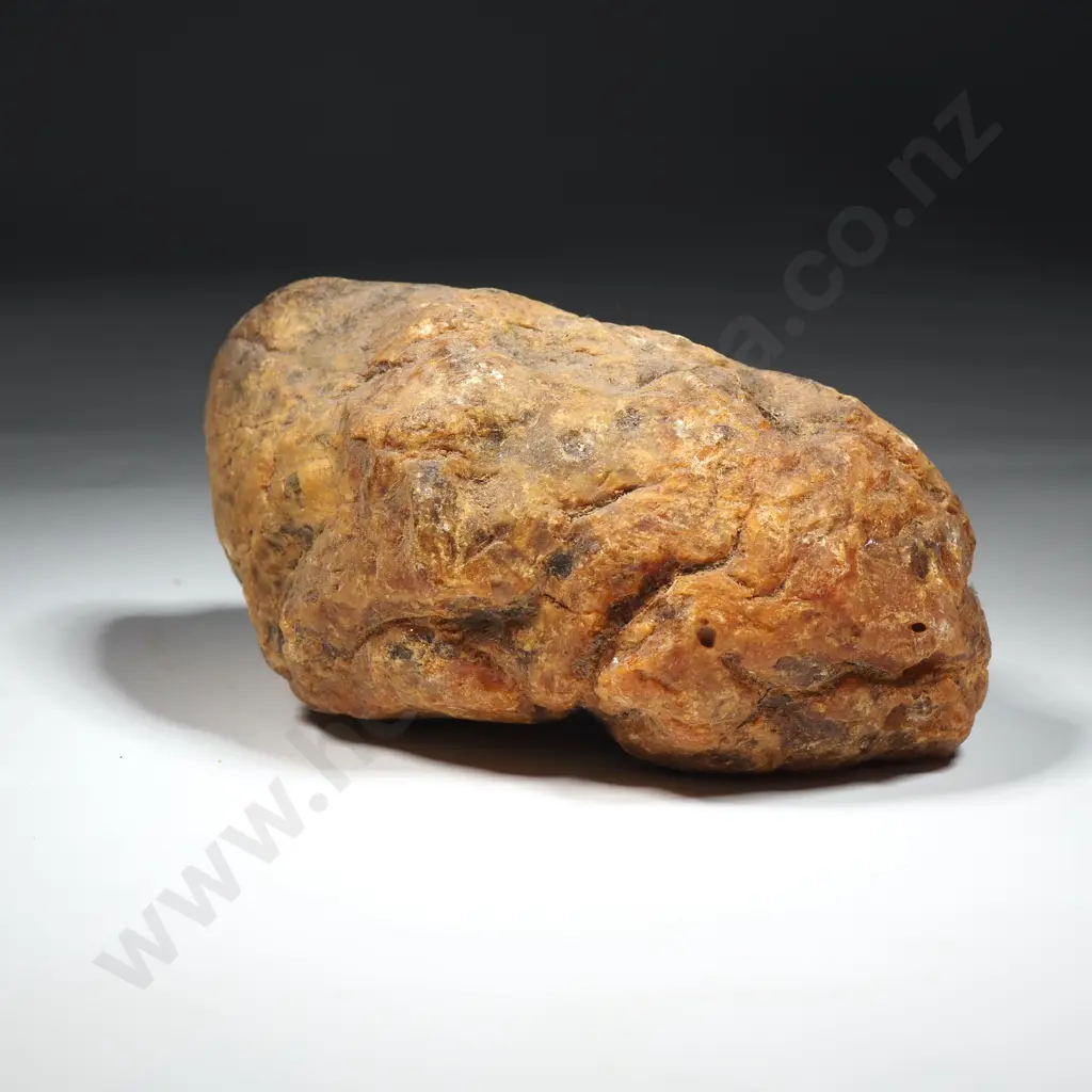 Piece of Kauri gum, Weight 353.9 grams Image 1++