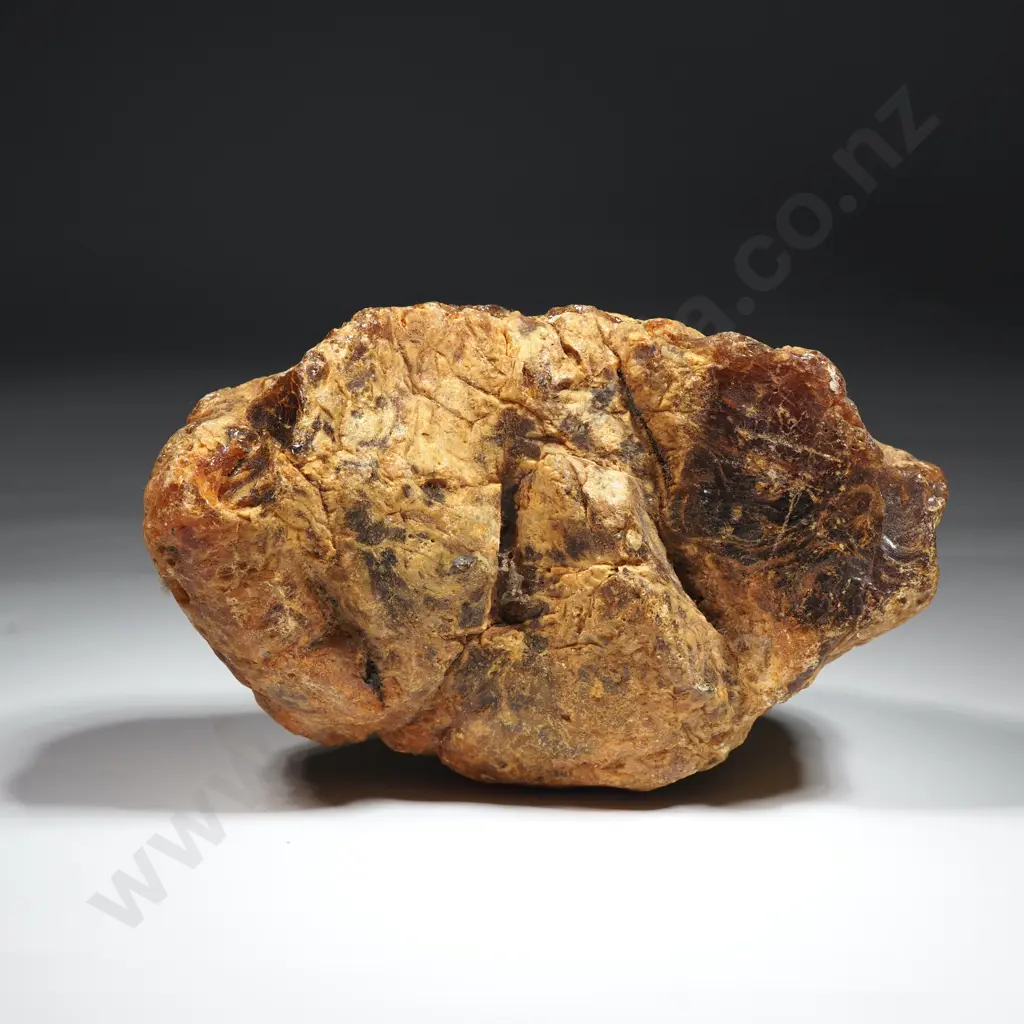 Piece of Kauri gum, Weight 353.9 grams Image 1++