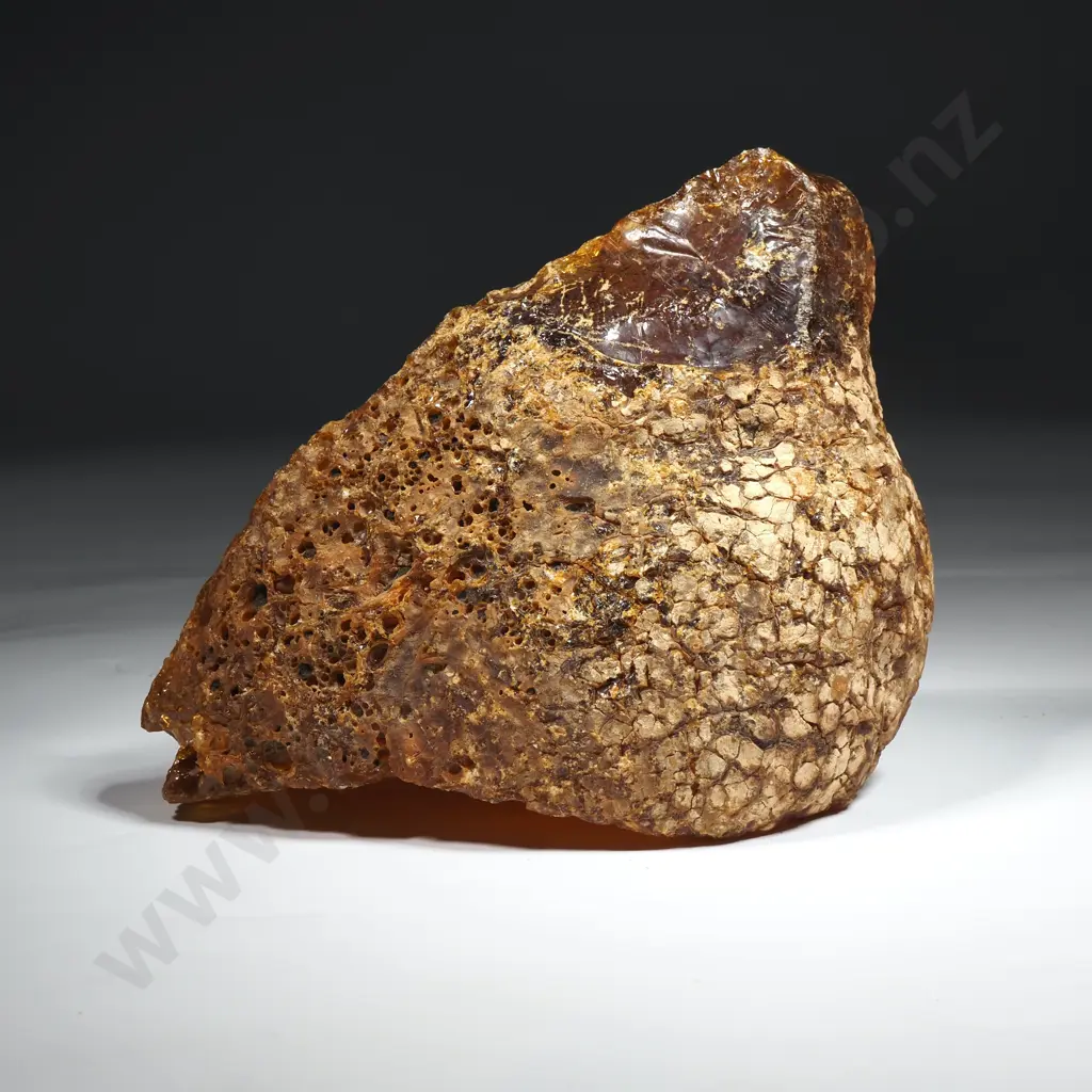 Piece of Kauri gum, Weight 495grams Image 1++