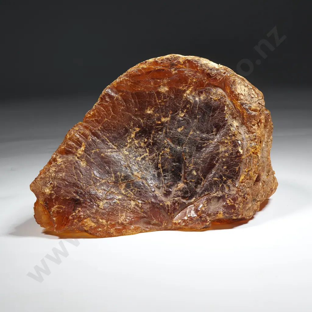 Piece of Kauri gum, Weight 495grams Image 1++