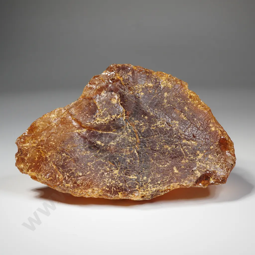 Piece of Kauri gum, Weight 495grams Image 1++