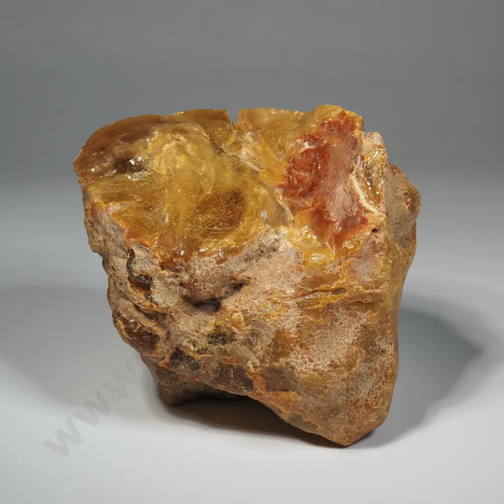 Massive  Piece of Kauri Gum, Weight  933 Grams Image 1++