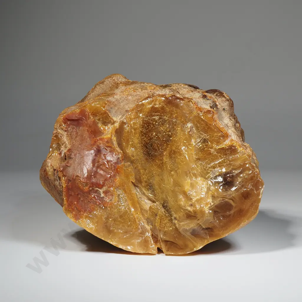 Massive  Piece of Kauri Gum, Weight  933 Grams Image 1++
