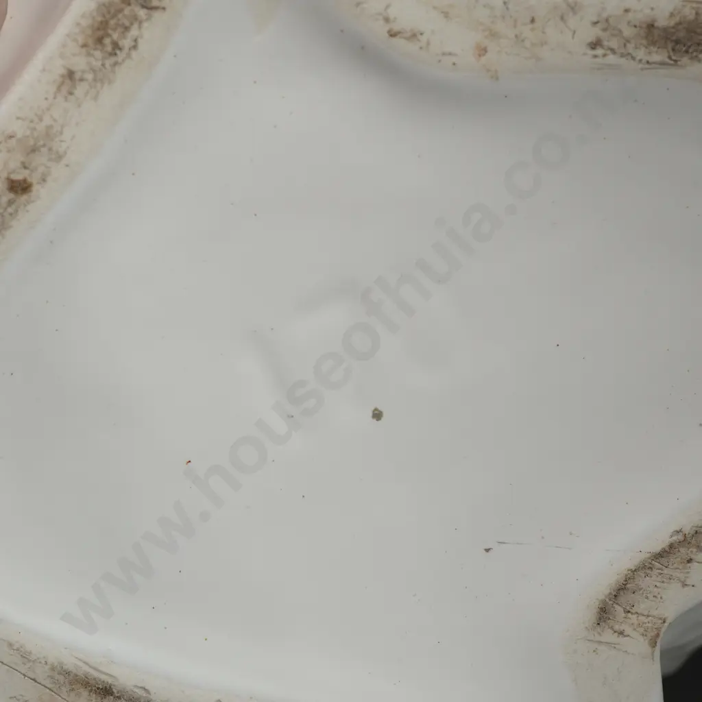 Crown Lynn Swan 170 Image 1++
