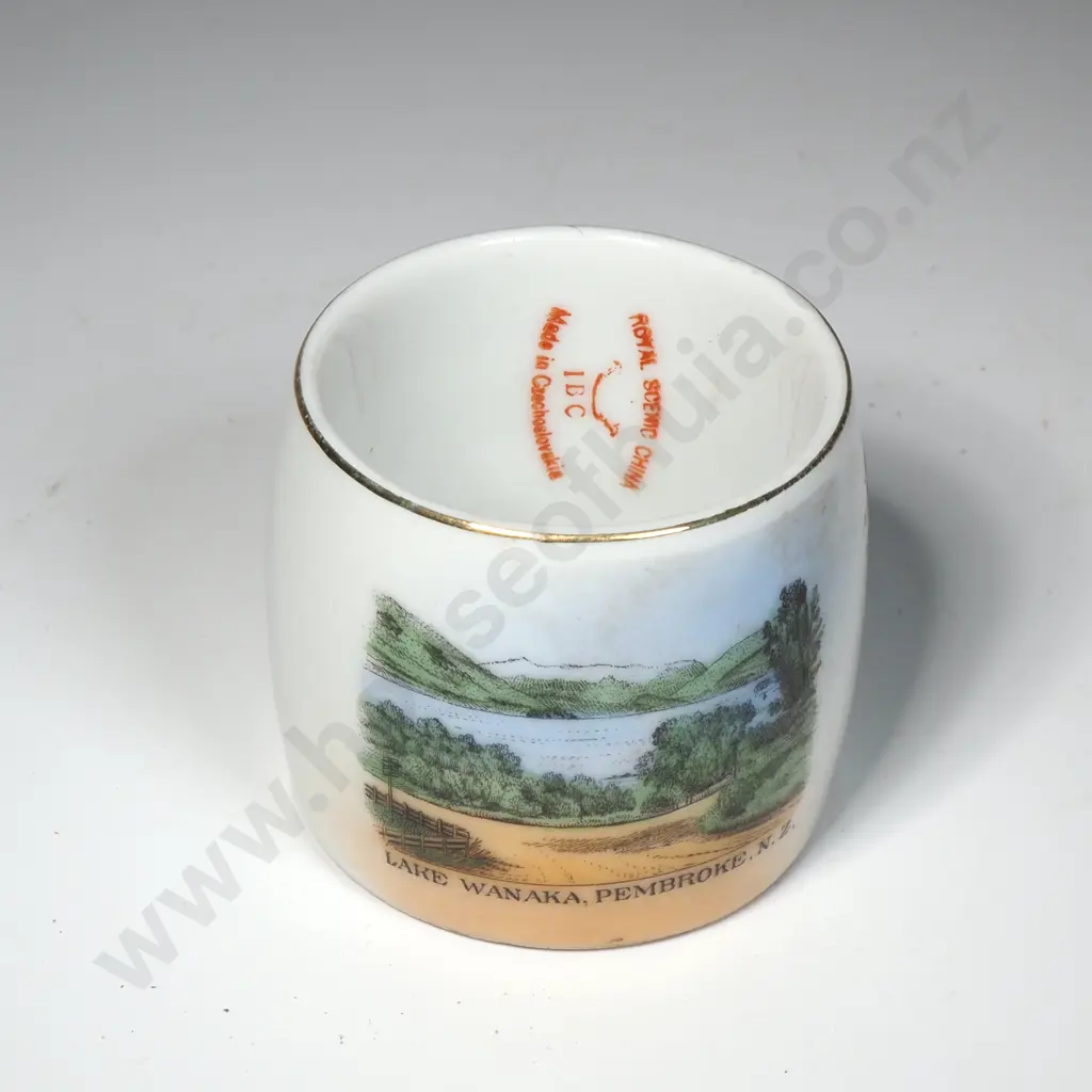 Unusual China Napkin Ring w View of 'Lake Wanaka, Pembroke' Image 1++