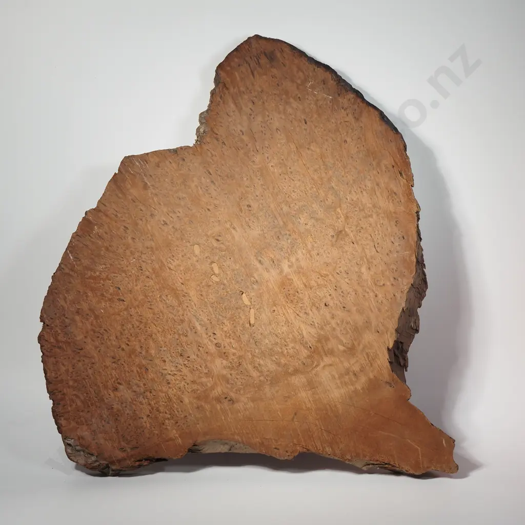 Large Slab Of Burr Totara 400 x 360mm Image 1++
