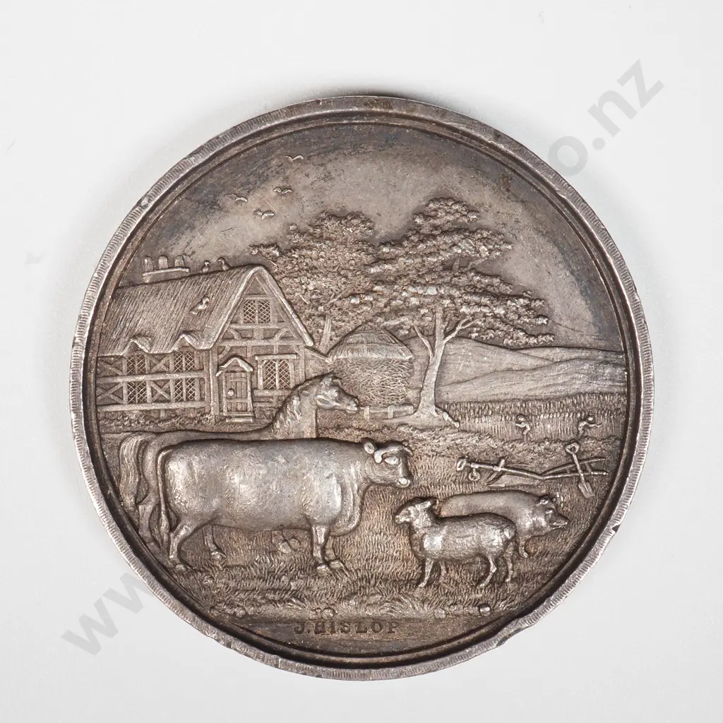 1878 Waihemo & Shag Valley  A&P Association Silver Medal by J Hislop for Colonial Heifer Image 1++