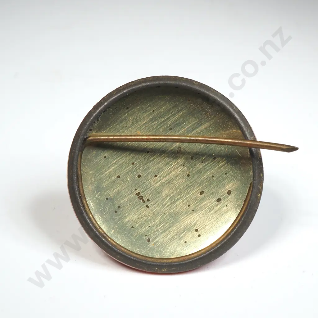 Ranfurly Challenge Shield Ephemera Pin Image 1++