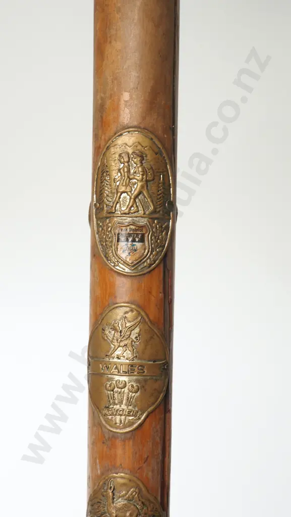 Vintage NZ Maori Alpine Walking Stick w Hand Carved Bone Tiki Head Image 1++