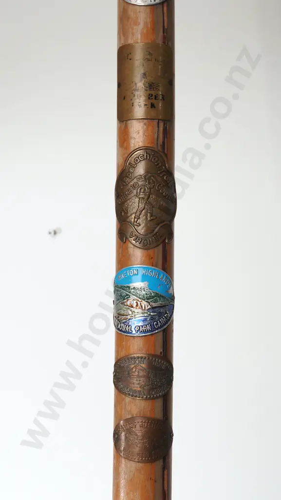 Vintage NZ Maori Alpine Walking Stick w Hand Carved Bone Tiki Head Image 1++