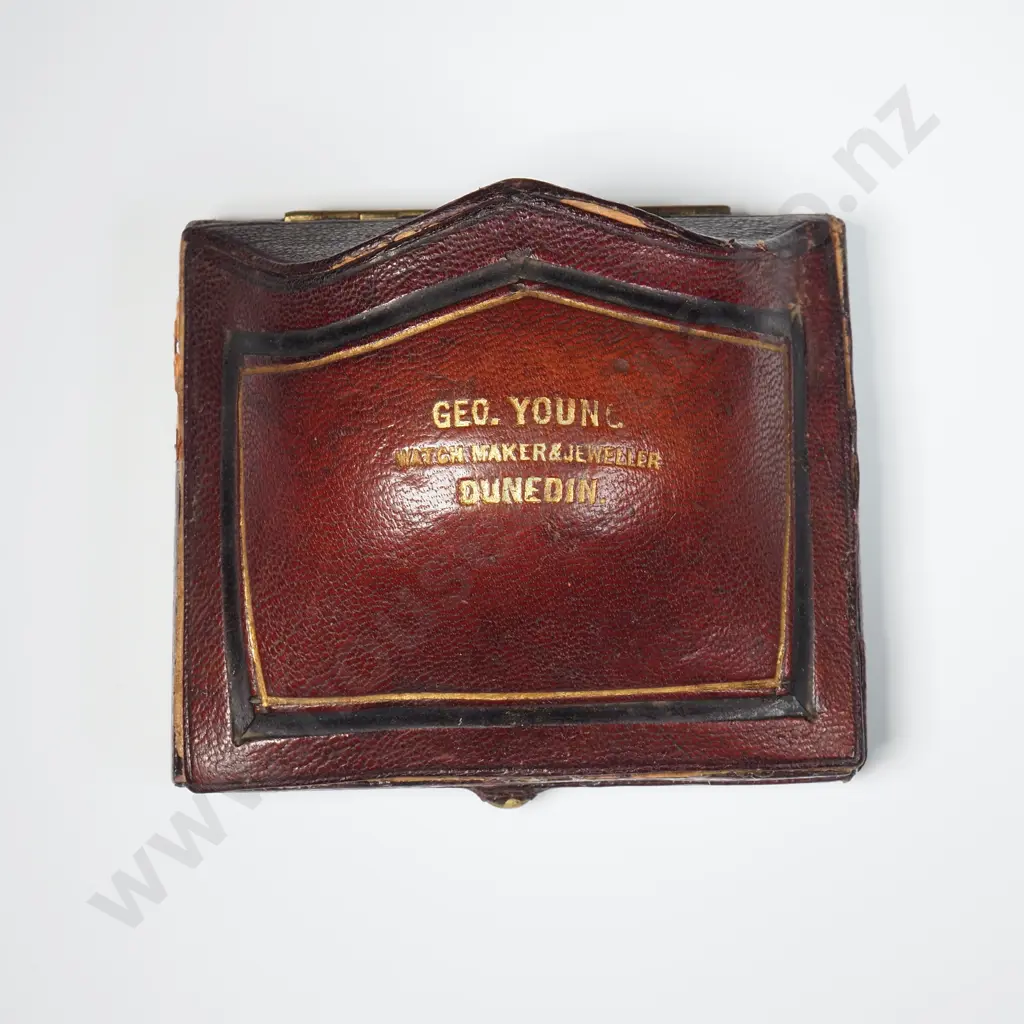 Colonial 15ct Gold Greenstone Brooch w Oak Leaf & Acorn Details - in Period Geo Young Dunedin Case Image 1++