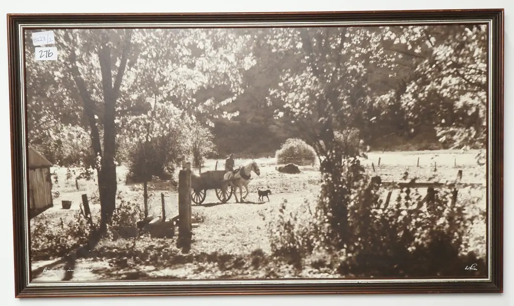 Whites Aviation - Autumn in Otago, Photographic Print Image 1++