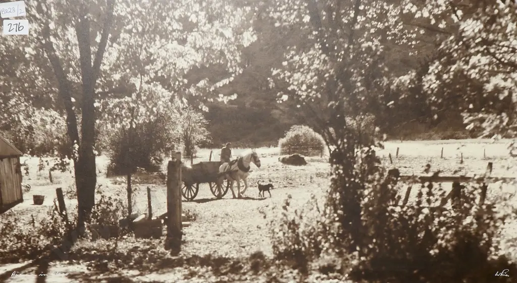 Whites Aviation - Autumn in Otago, Photographic Print Image 1++