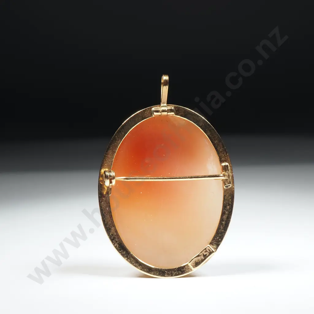 18ct Gold Cameo Pendant / Brooch Image 1++