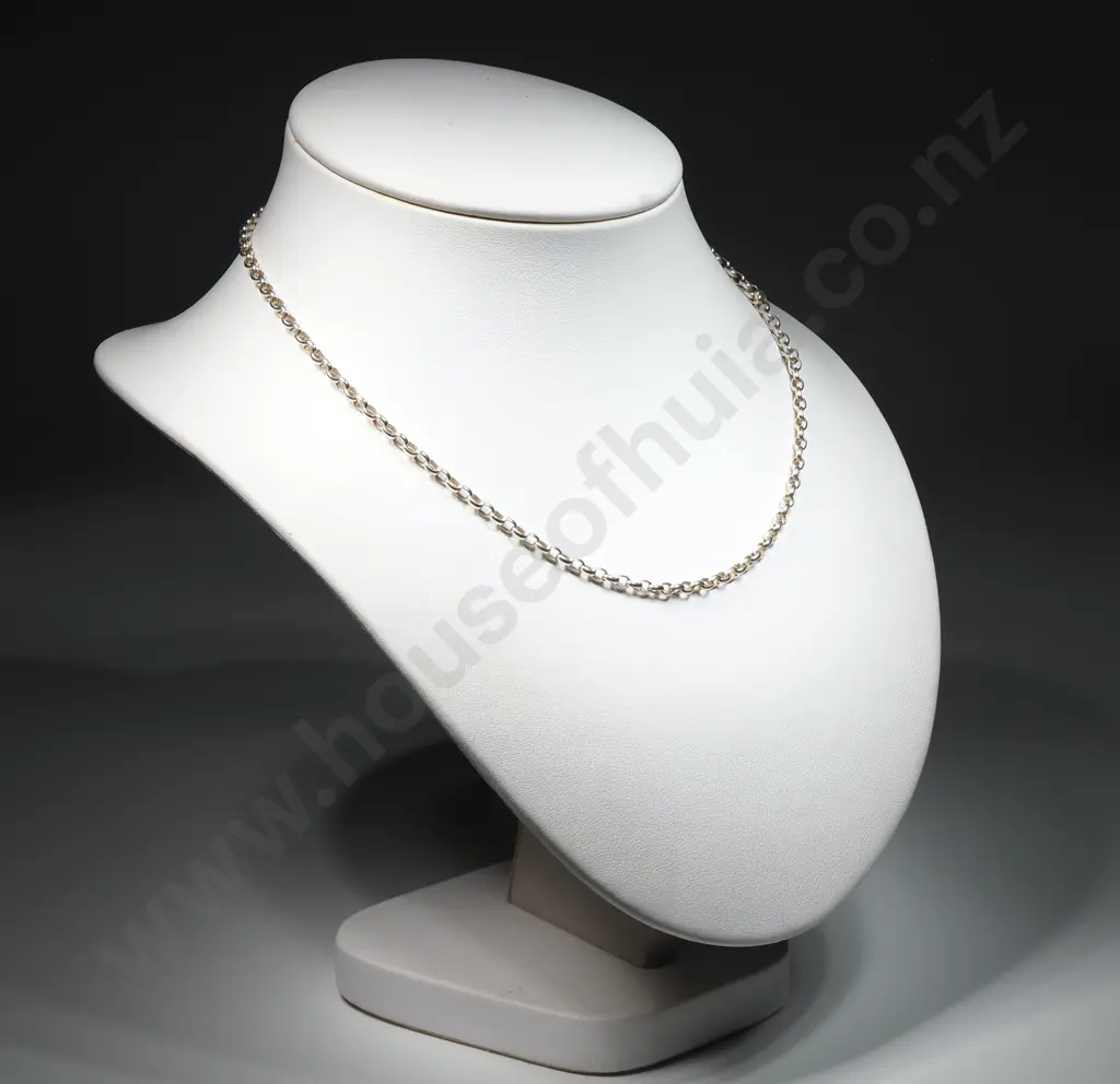 Sterling Silver Necklace Image 1++