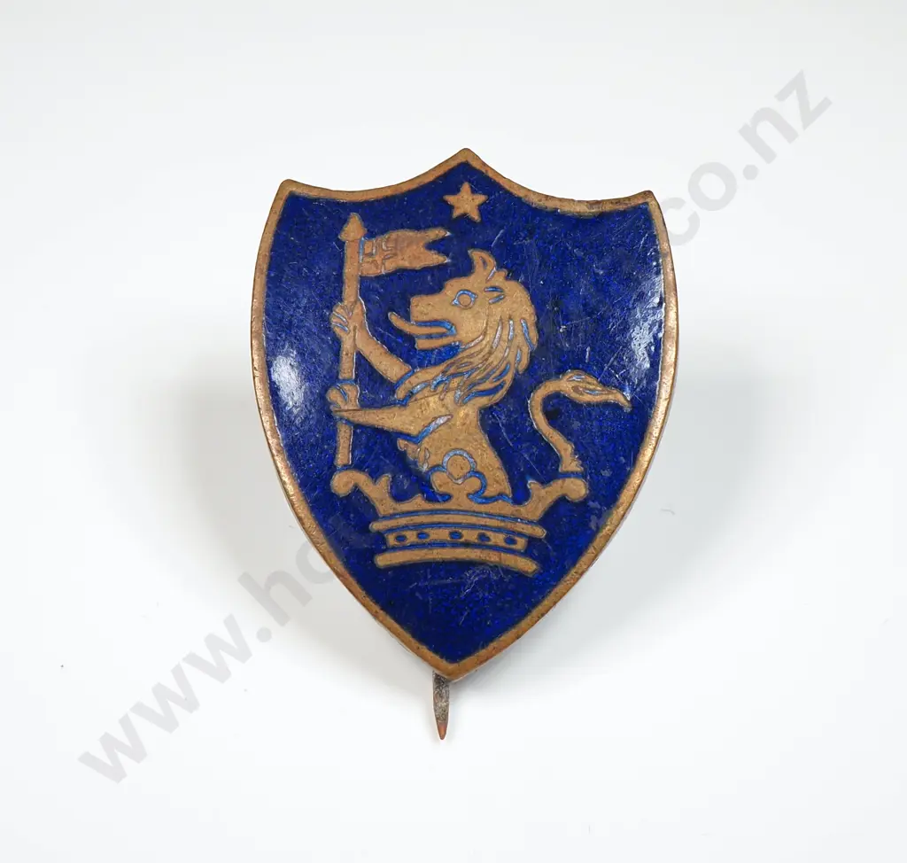 Antique Lion Crest Brass Pin  Image 1++