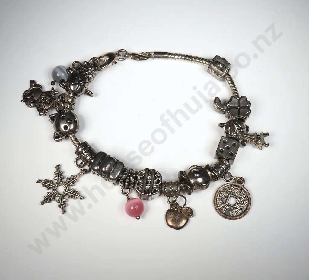 Sterling Silver Pandora Style Bracelet Image 1++