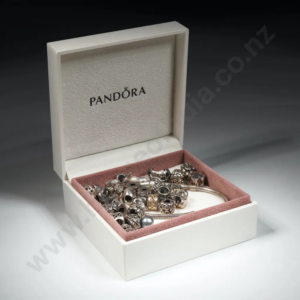 Cased Sterling Silver Pandora Bracelet & Charms Image 1++