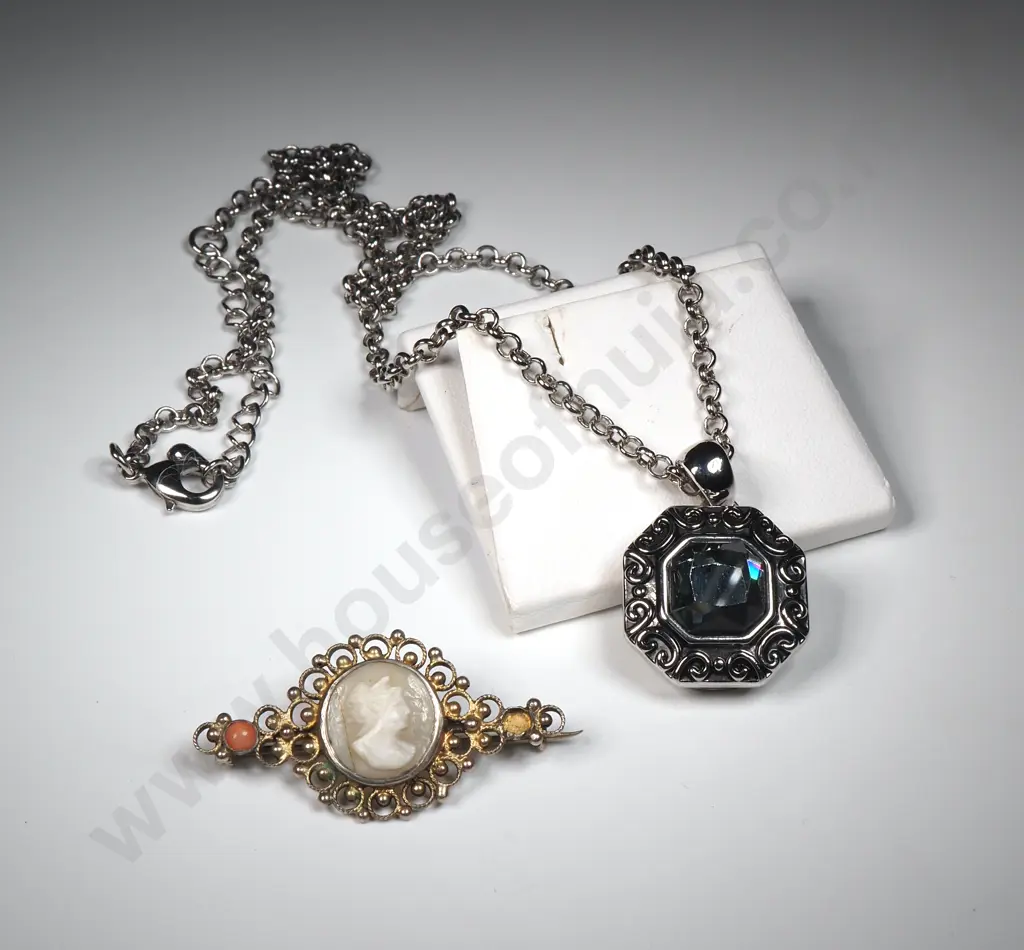 Costume Pendant & Brooch Image 1++