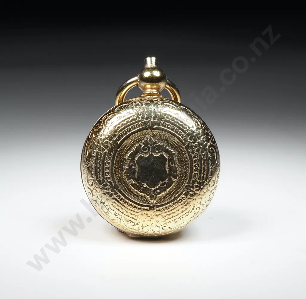 Gold Plated Nickel Sovereign Case Image 1++