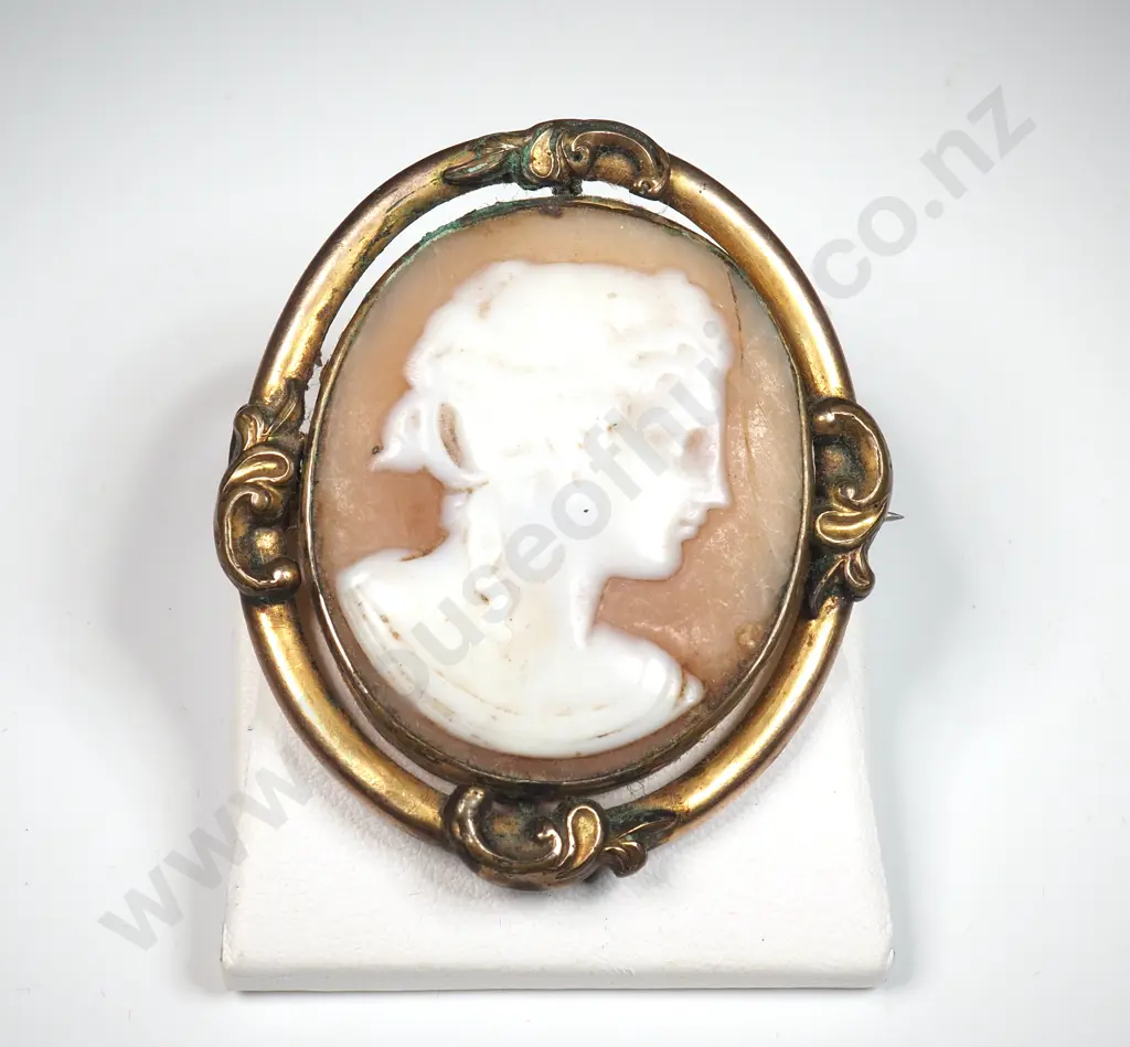 Antique Oval Cameo Brooch In A Gold Plate Frame  Image 1++