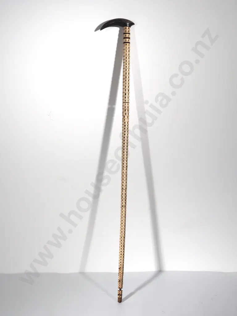Shark Spine Walking Stick Image 1++