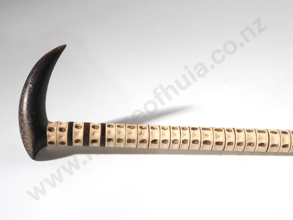 Shark Spine Walking Stick Image 1++