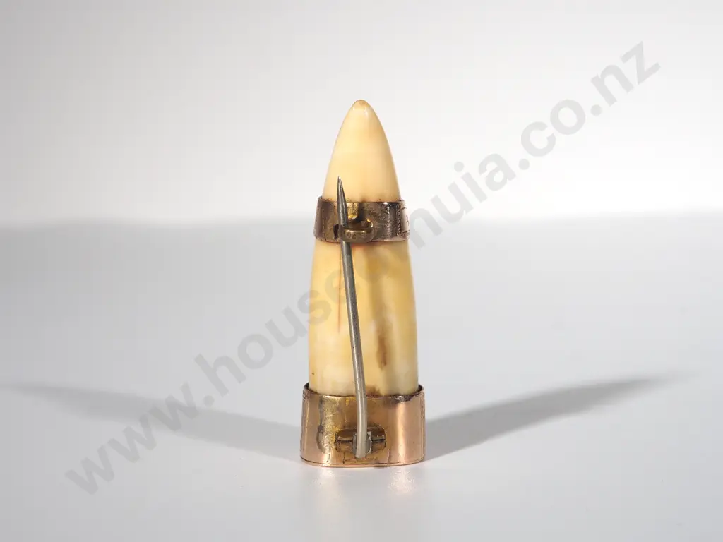 Small Colonial Tooth / Bone Brooch (Likely Marine - Sealion / Seal) Image 1++