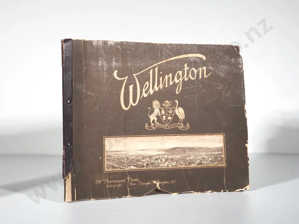 Antique Wellington Photo Album Image 1++