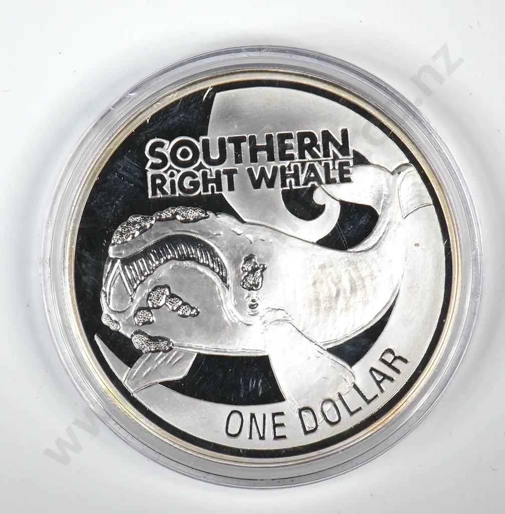 Uncased 2009 New Zealand Proof One Ounce Silver Coin  Image 1++