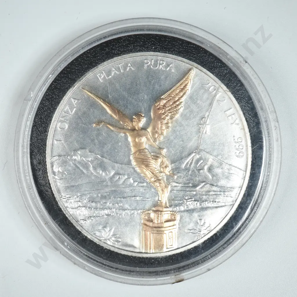 2012 One Ounce Silver Round Image 1++