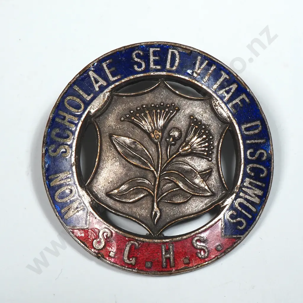 Antique Southland Girls High School Sterling Silver Enamel Badge A/F Image 1++