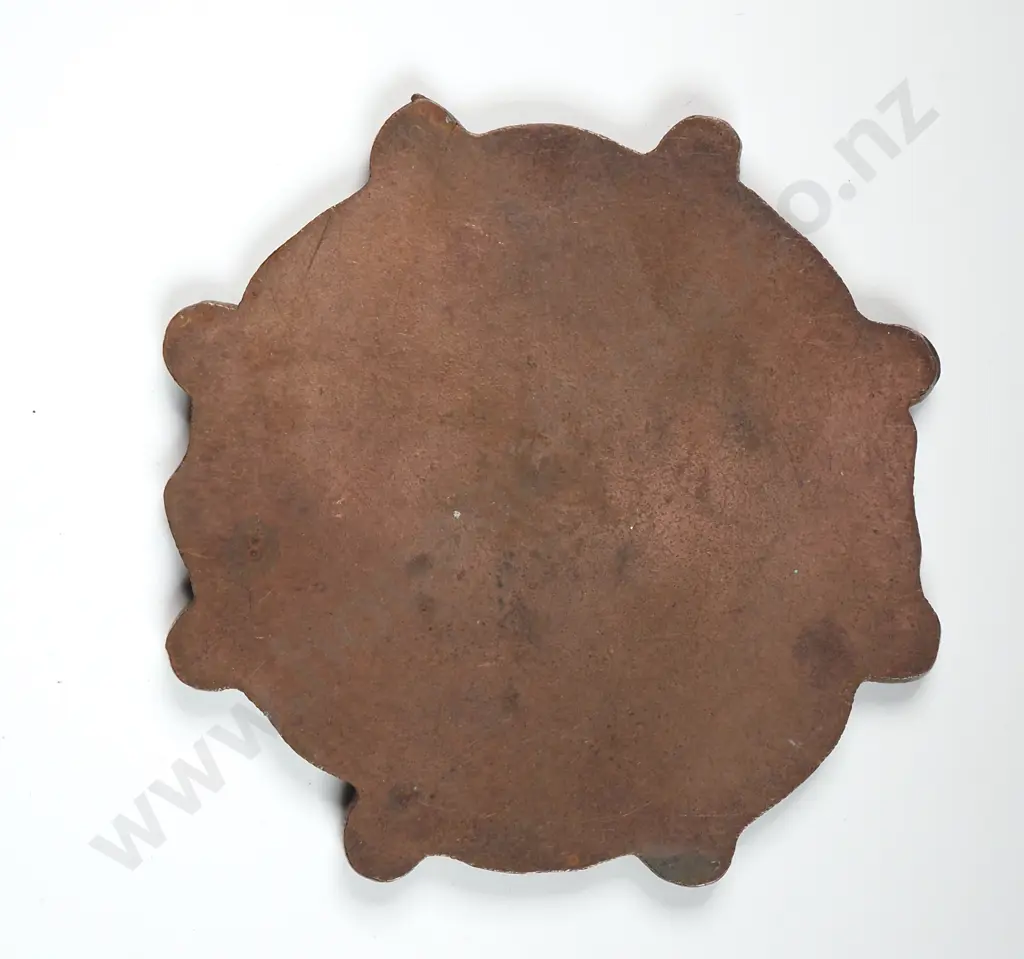 Copper medal “ROYAL HUMANE SOCIETY OF NEW ZEALAND” 40mm ( possible trial piece? ) Image 1++