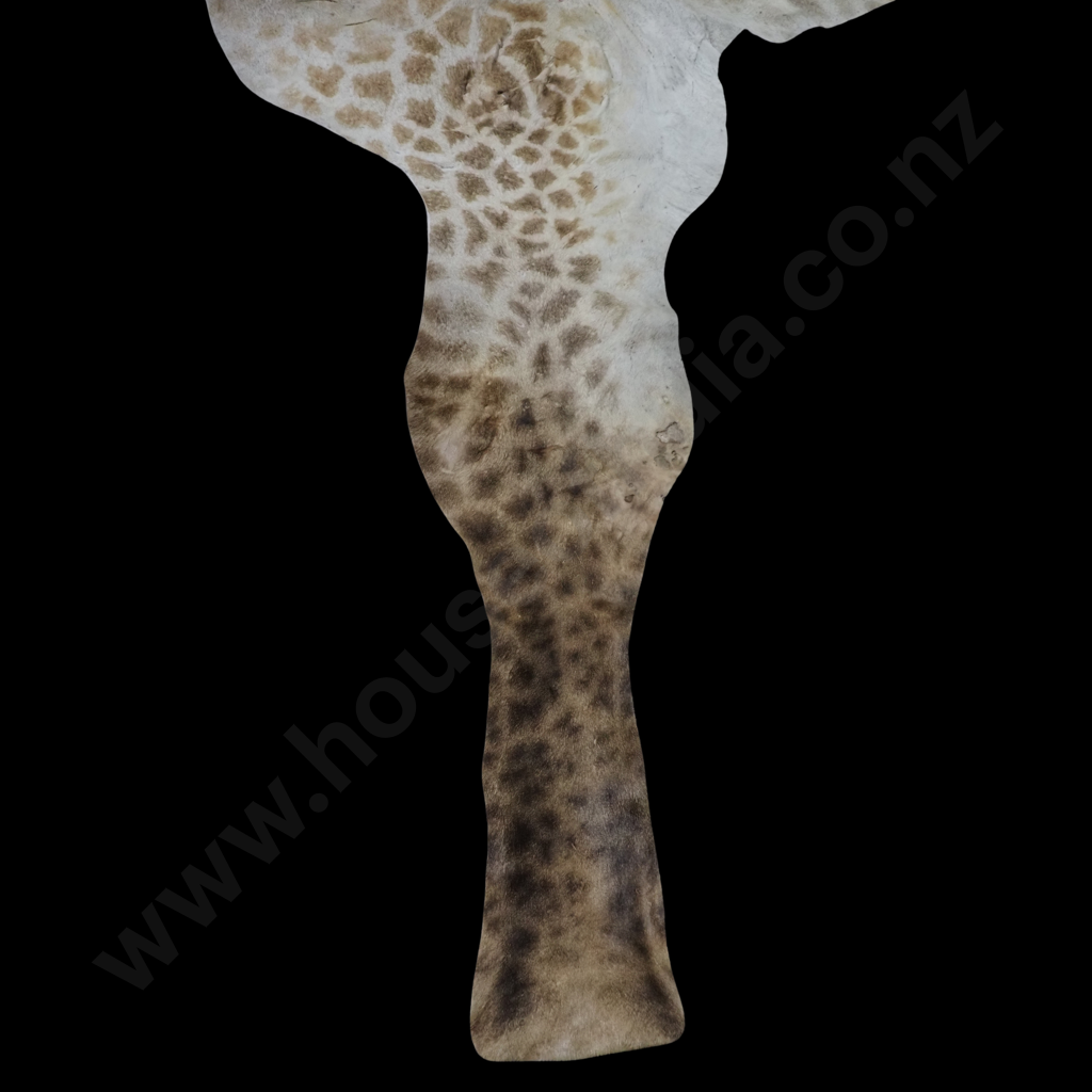 Impressive Giraffe Skin Hide w Face, Tail & Legs Image 1++