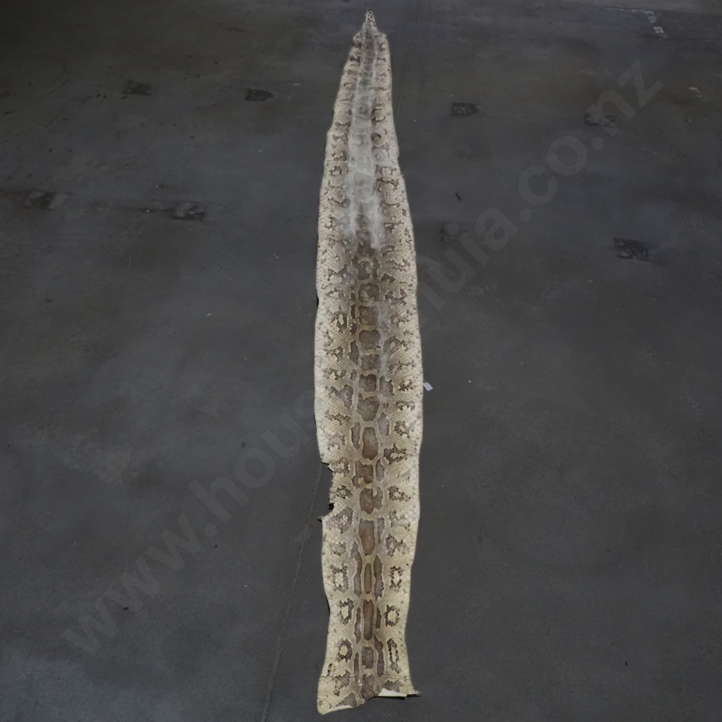 Impressive Python Skin Image 1++