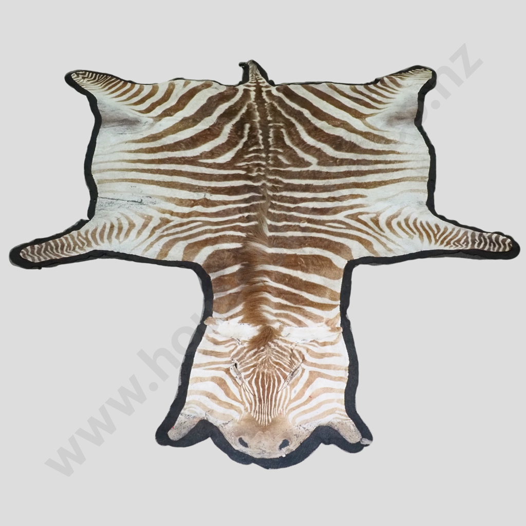 Stunning Zebra Hide Rug Image 1++
