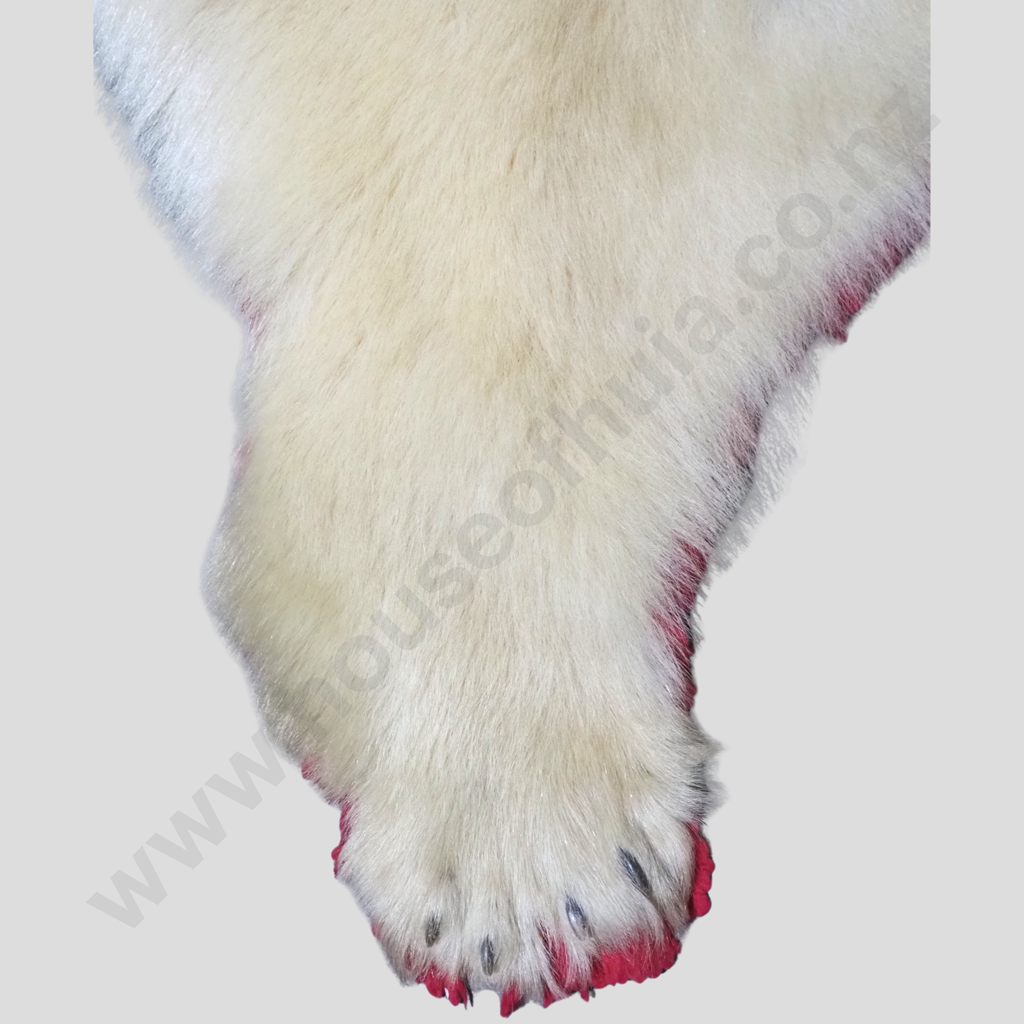 Rare Full Polar Bear Skin Rug with Mounted Head & Paws Image 1++