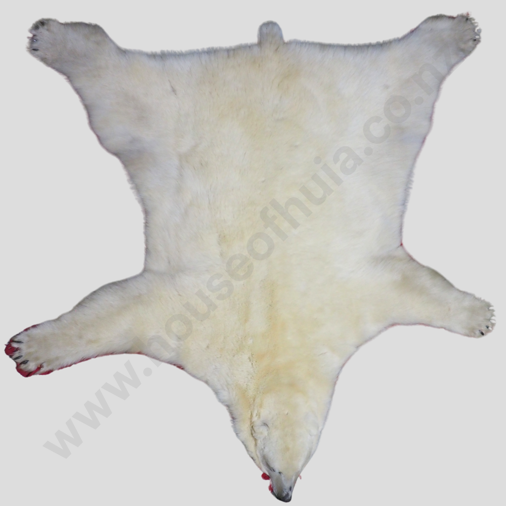 Rare Full Polar Bear Skin Rug with Mounted Head & Paws Image 1++