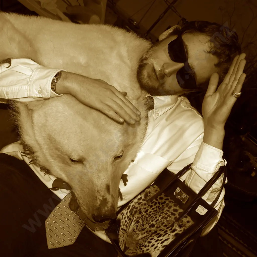 Rare Full Polar Bear Skin Rug with Mounted Head & Paws Image 1++